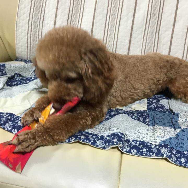 Fda1384d 09e5 4945 bac3 5c220f3a17f3