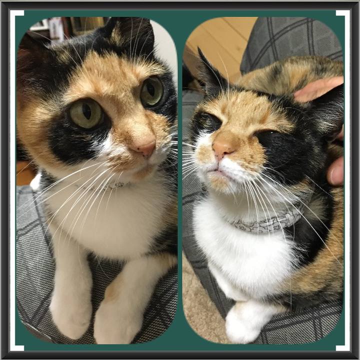 Fda1909a b1e7 40c4 ac74 ca2b79564293