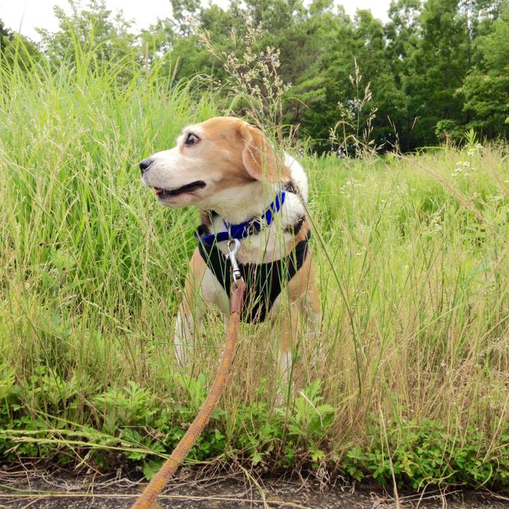 Fda1fb57 ffd0 45da b3d4 b1e0c3ec00e7