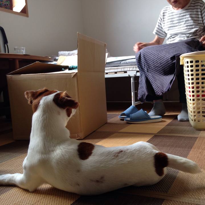 Fda2d628 dcaa 4ab9 9d40 6bd113f2f314