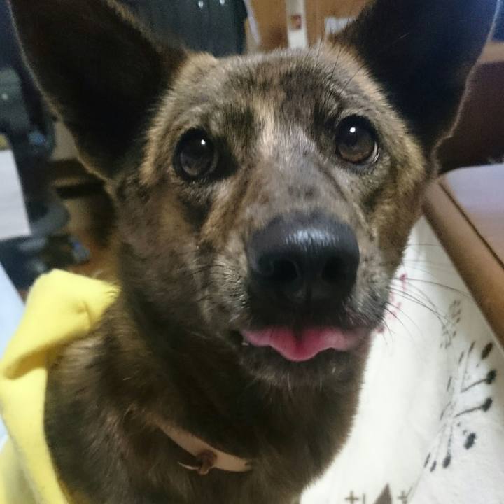 Fda32c29 566a 4961 b3ce 188f71398a36