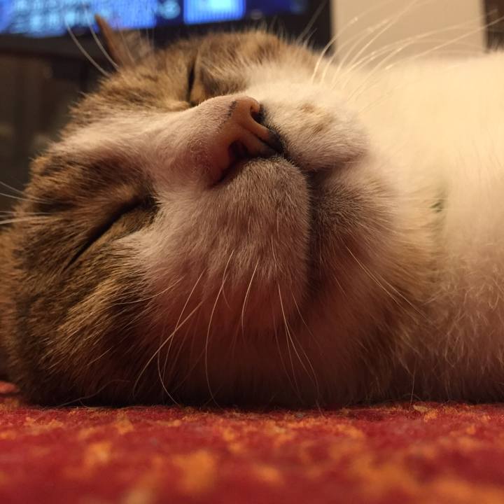 Fda372b7 030a 4bfc bfec dc58ad025ffb