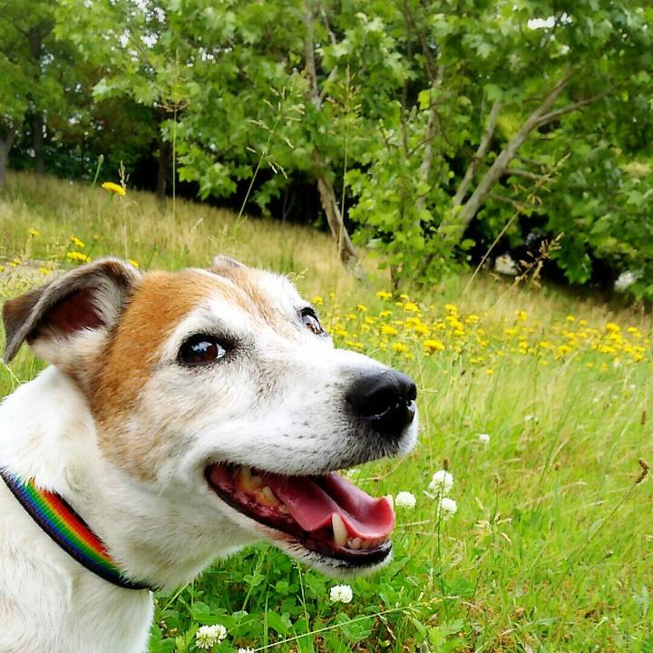 Fda39239 b0e7 4aec 8042 4f8ad0945f03