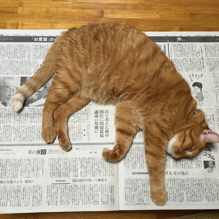 Fda394d7 e479 4df7 867c 60c2140a956a