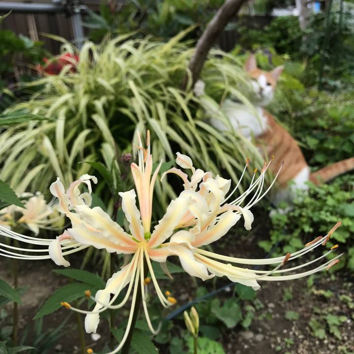 Fda3a77a 2d30 4d90 a566 18ae8265c681