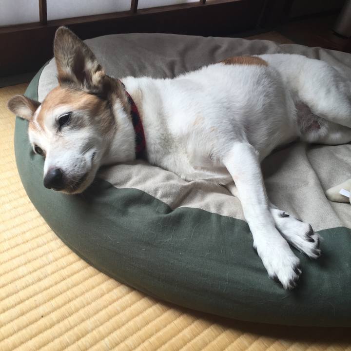 Fda3b40f 8f87 488f 877f b79a5d3d7c46