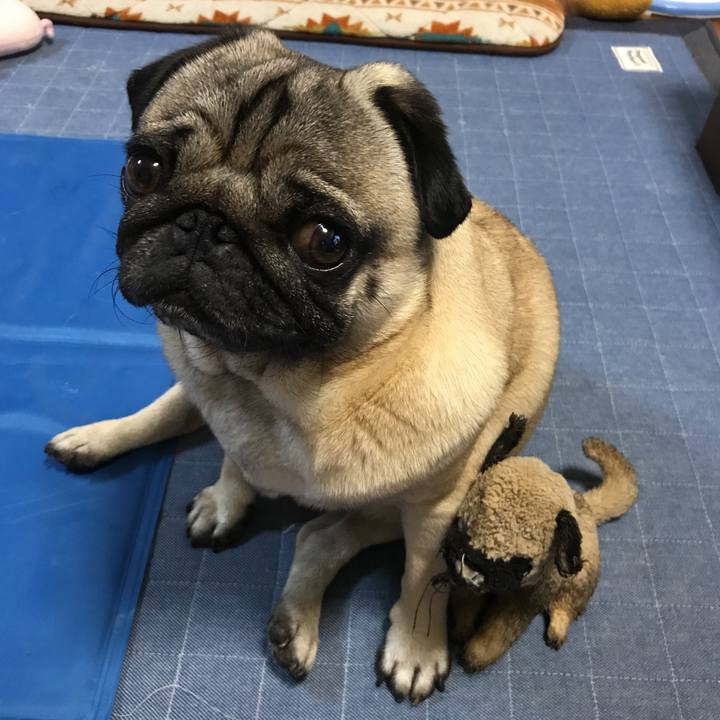 Fda3e370 254a 4fa2 b205 aa72b00a0099