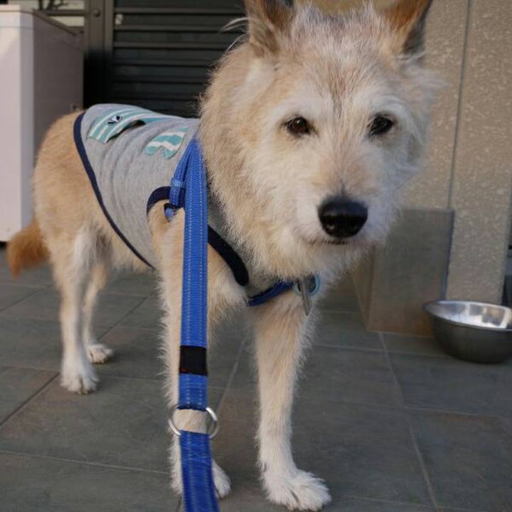 Fda488c1 1f46 406d 80e1 fdd02bfcc7fc