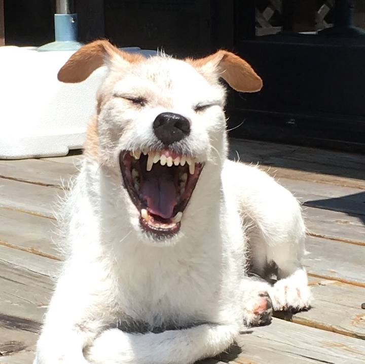 Fda50c95 c647 4085 990a 0375b405516e