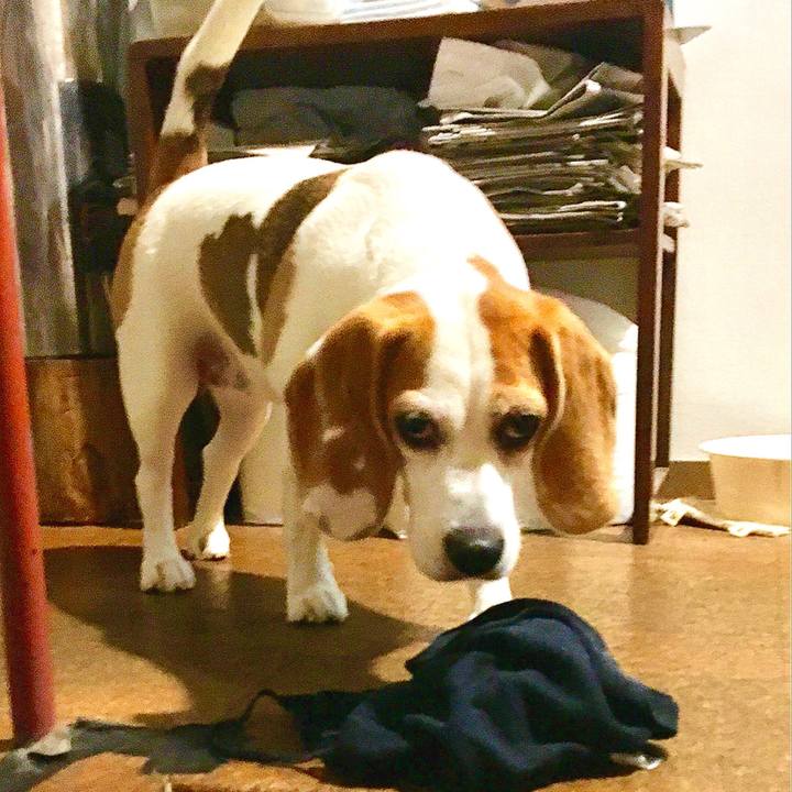 Fda5d181 37c0 439f 9c4b 87d0cc2bdb51