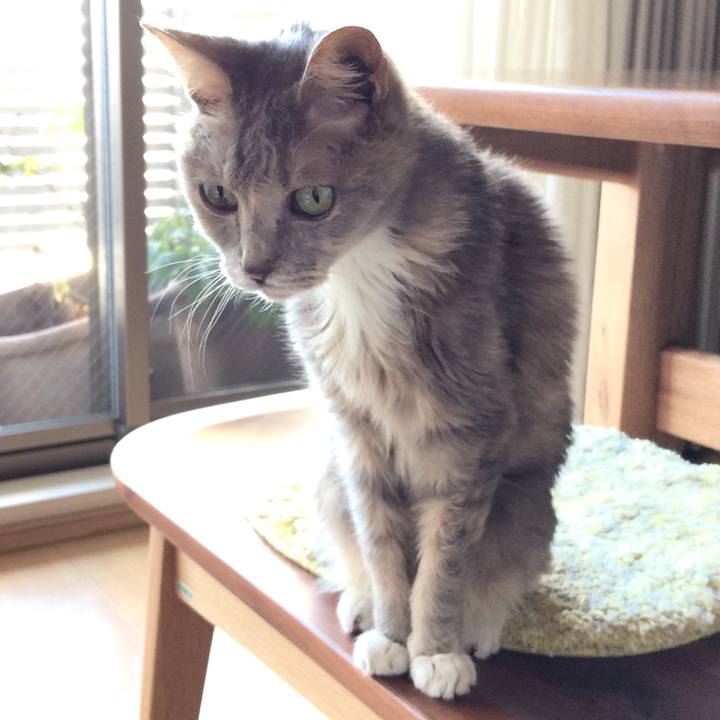 Fda65f5e 47bd 4bc0 a0b7 b8c935d94562