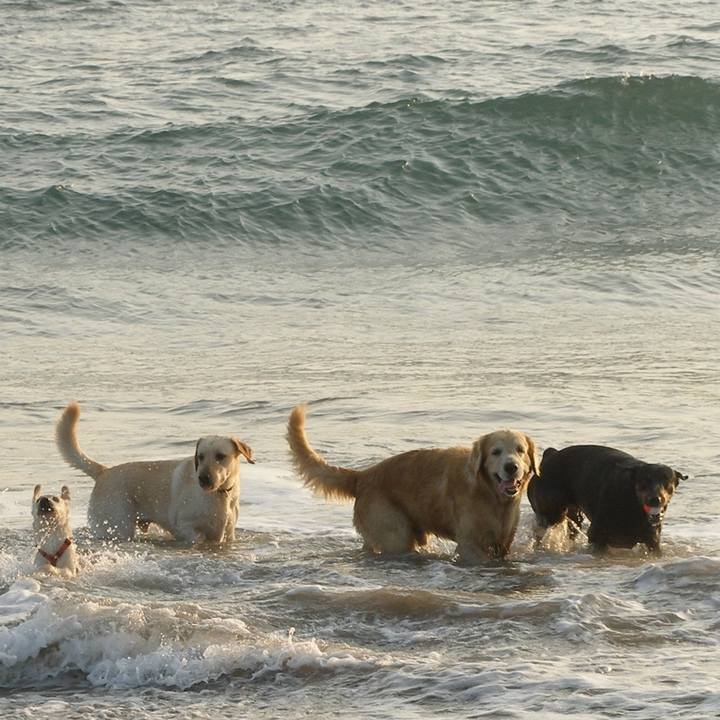 Fda6be60 63b1 4601 ac61 50a243625432