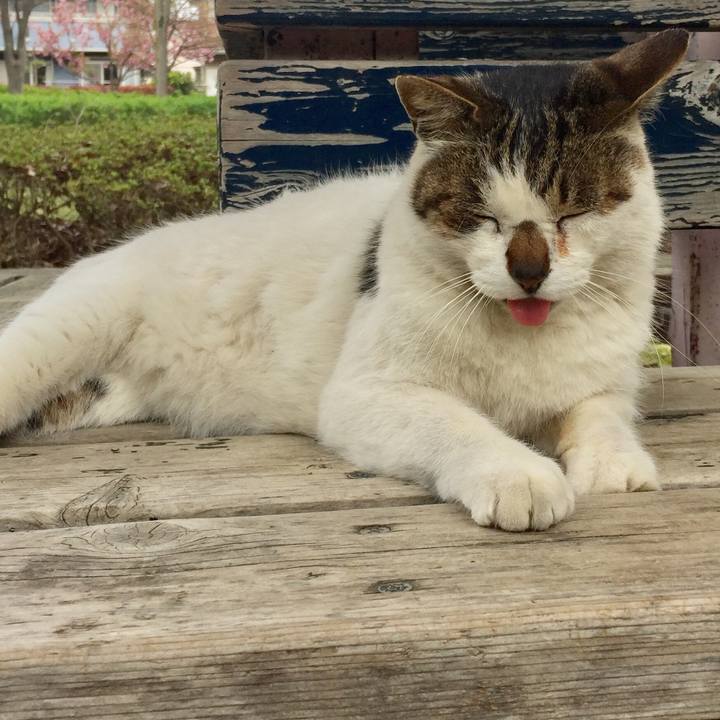 Fda714b2 165f 4dcd 98eb 6a3db23a97ab