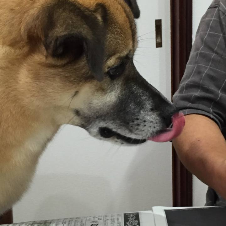 Fda7324d cb36 4482 8c28 2464aec7ef74