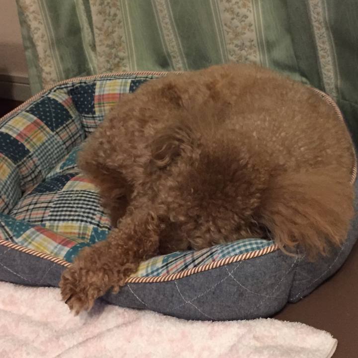 Fda735a4 24b2 456a ac3c 12335e6644c7