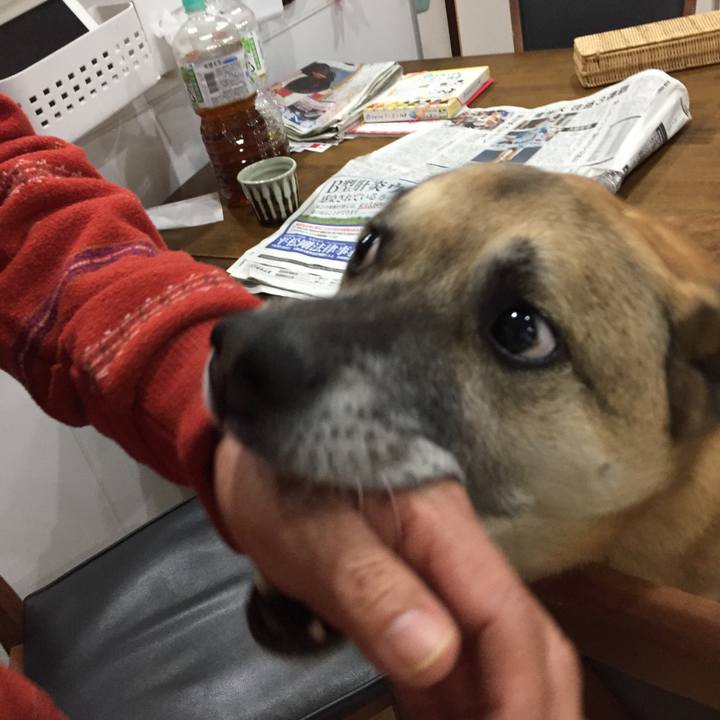 Fda7b497 1739 4f7c a122 b873afc7ca2a