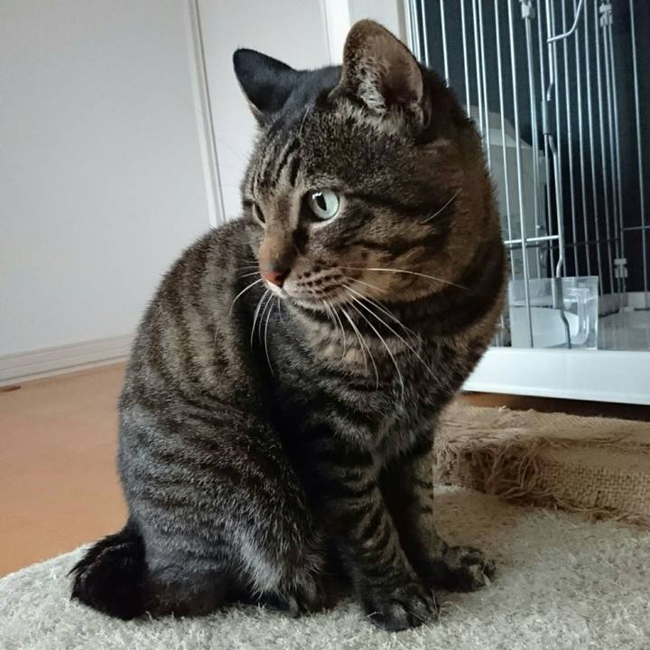 Fda7d179 8558 4488 bdcf 9882db84e710