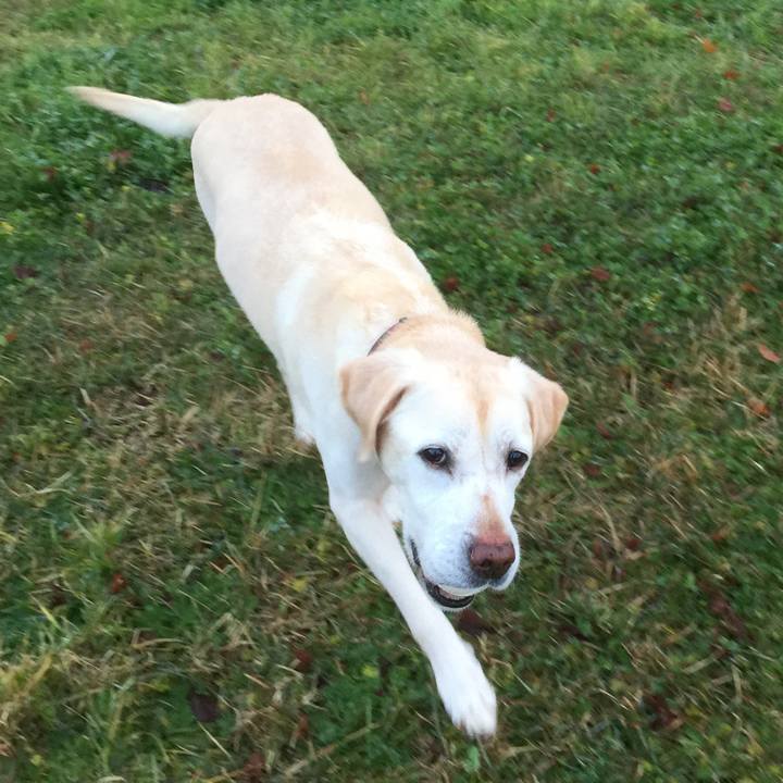 Fda7ec61 ef76 43b9 ae2a f1044b0bc7f0