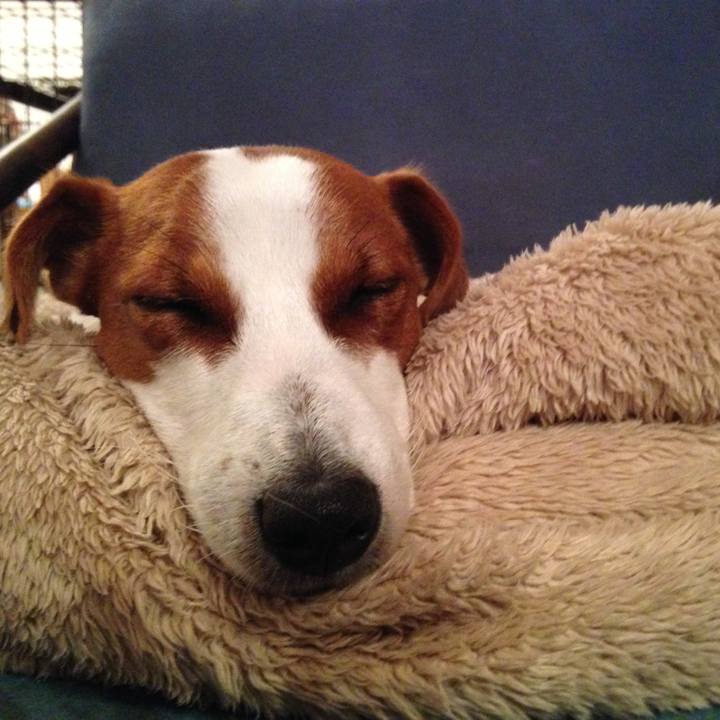 Fda805a6 f61a 4cc2 8ddd 1a439cd06204