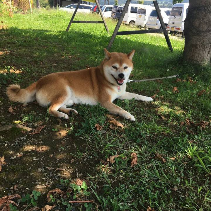 Fda80ffe 9e32 4276 8574 1b16b8e1d308