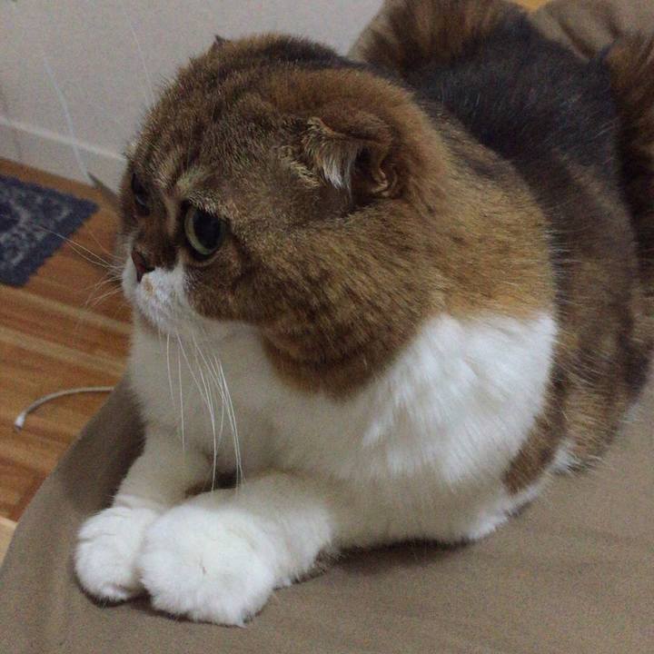 Fda84e69 ca29 4f03 ac2c 683021d2d654