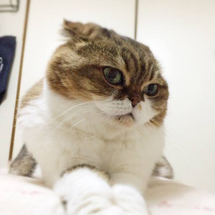 Fda87daf eff8 4d3f 8520 f13965a7f342