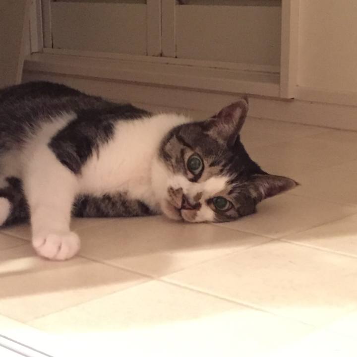 Fda8a19e 6c90 4f3b 89e3 69ff47437e3a