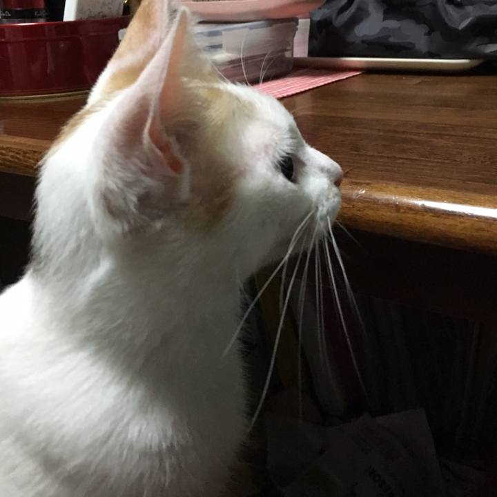 Fda8e0f8 e16a 44e7 a379 04540259144d