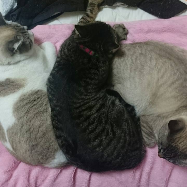 Fda94b30 ed70 4a84 b0e3 c4a9aa457e47