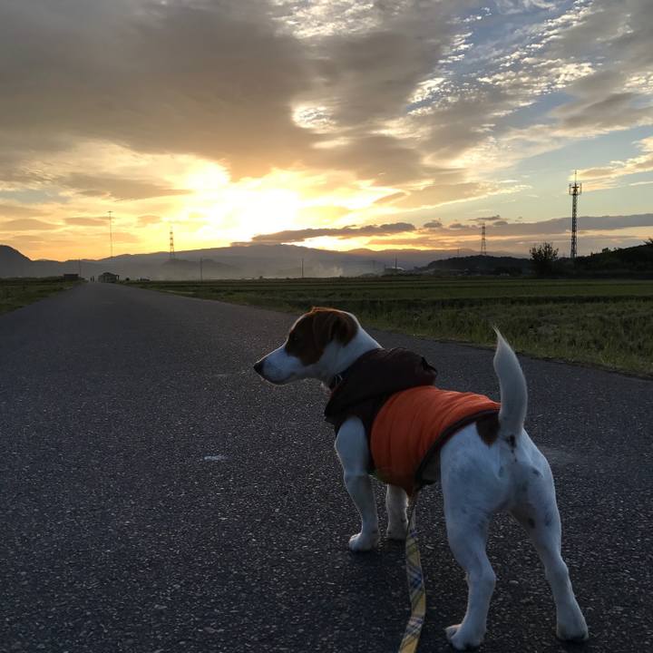 Fda9a9dd 7157 47d1 9e60 b4b300860884