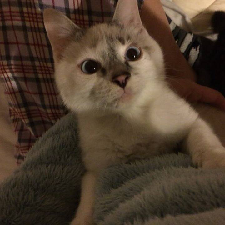 Fda9bb0b 5306 4b98 beee ec31e9d9eb55