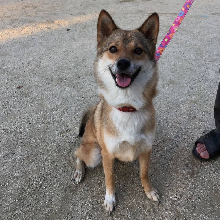 Fda9e16c 569f 4646 a2c4 f9e5ffeaef94