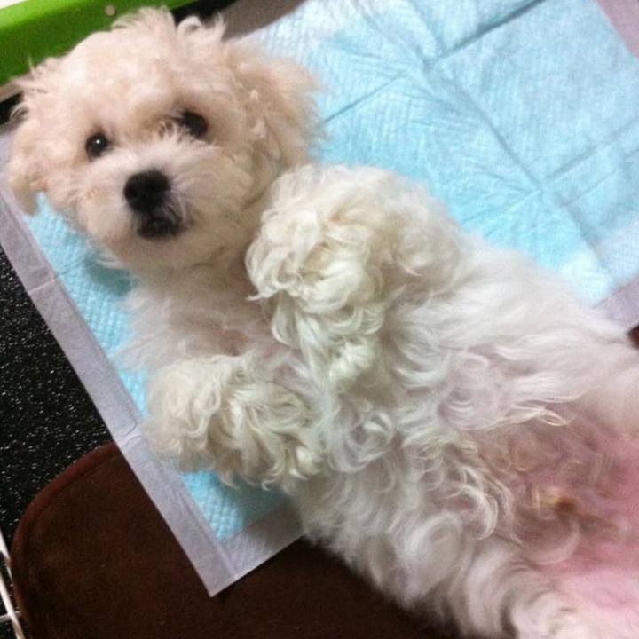 Fda9e7ac bc17 48a0 920a a0d94f1c7728