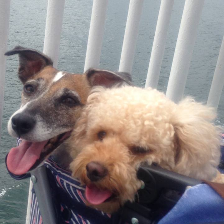 Fdaa7a32 3cf2 424f b778 cf82257ce8c3