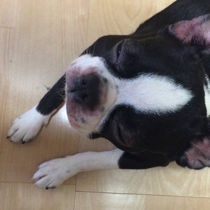 Fdac2599 43ff 468a bf45 baa4df9664c7