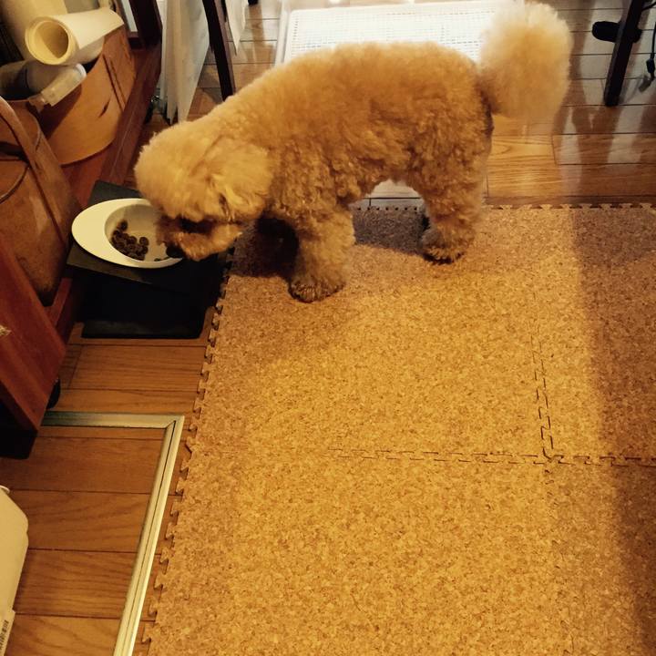 Fdad038f 4fd8 4f03 befd 948d3525993f