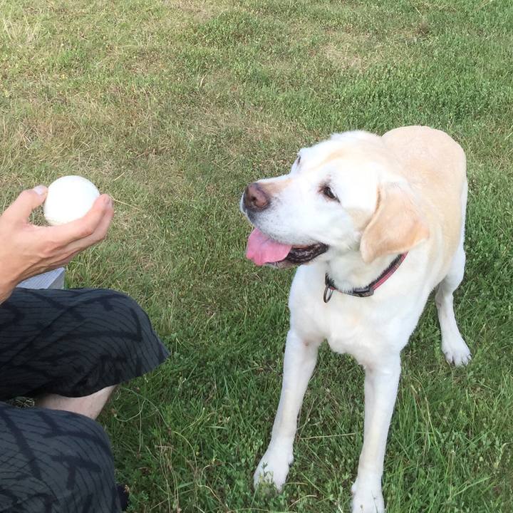 Fdae08ab 1748 4be9 8c03 7bf250943ef1