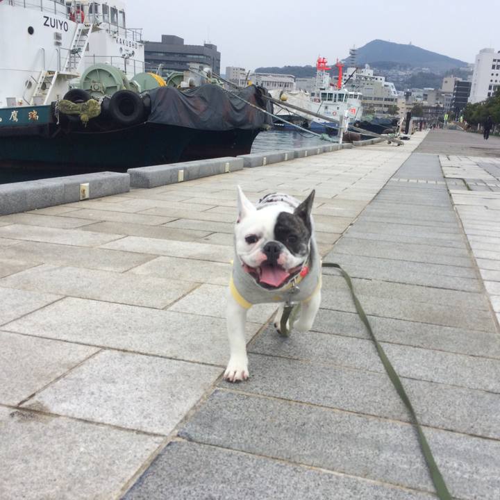 Fdae1725 ad73 434d 99ea c2210379477a