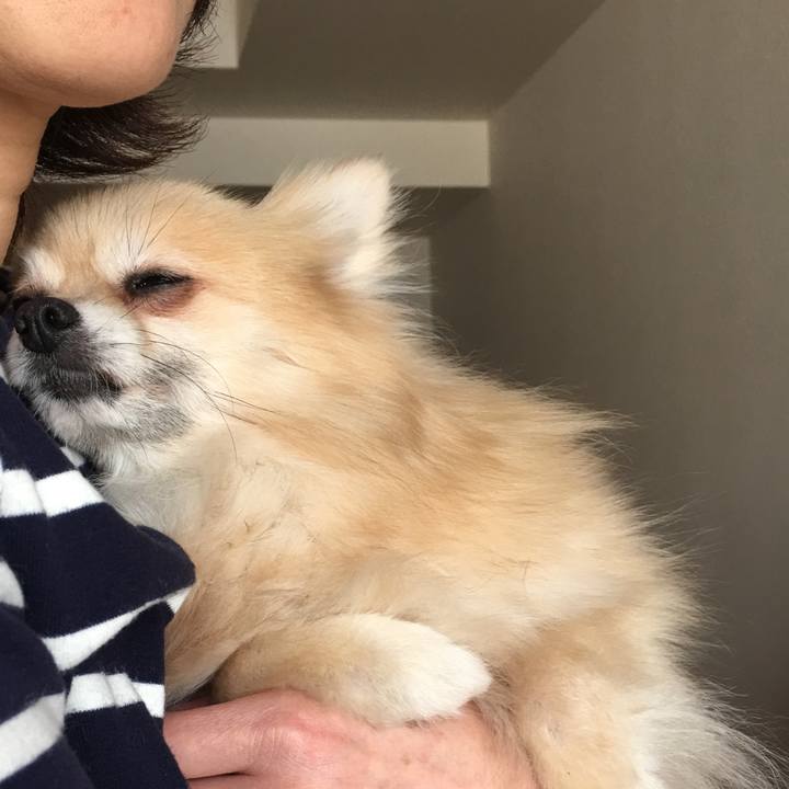 Fdaee1c9 fdbb 4cfb 9cdf 402a644acd67