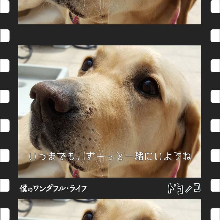 Fdaf27d8 9ef4 4f79 bbf2 2fc40b0d2085