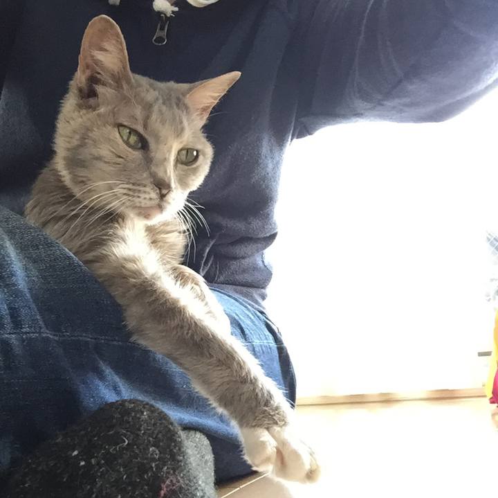 Fdafe63a d7e0 48ec 9947 92a6f72bb5e3