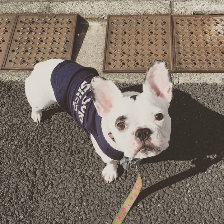 Fdb02712 7cb5 411c a5f3 b4b421d764a8