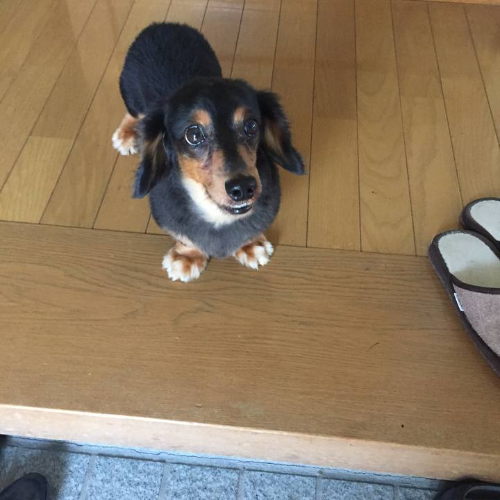 Fdb07d9e ca07 4af3 965d c15eebb81b5b