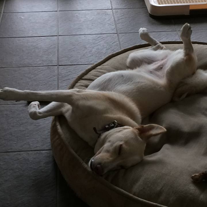 Fdb0bba9 b8b3 448e a1b7 e86500ea1ac4