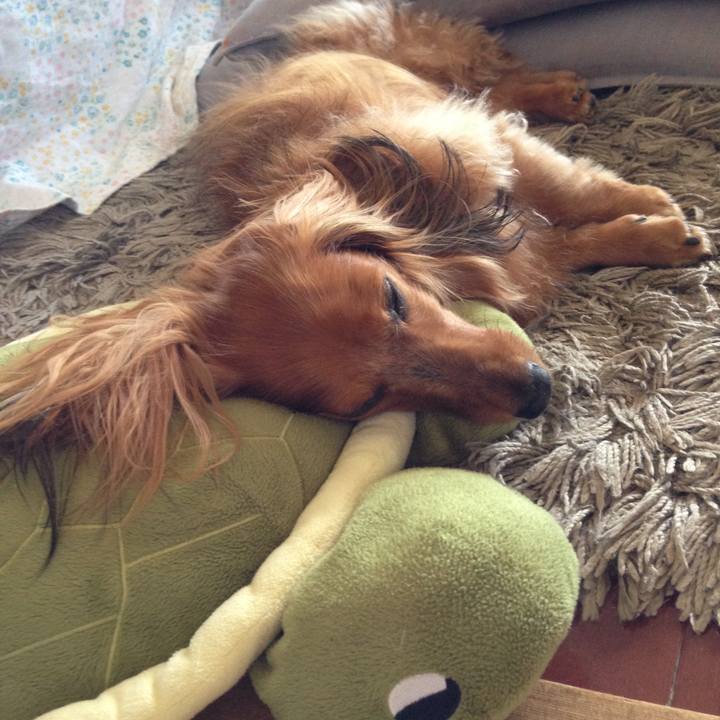 Fdb0fca7 233d 4209 ba1e aa58c53ebdf9