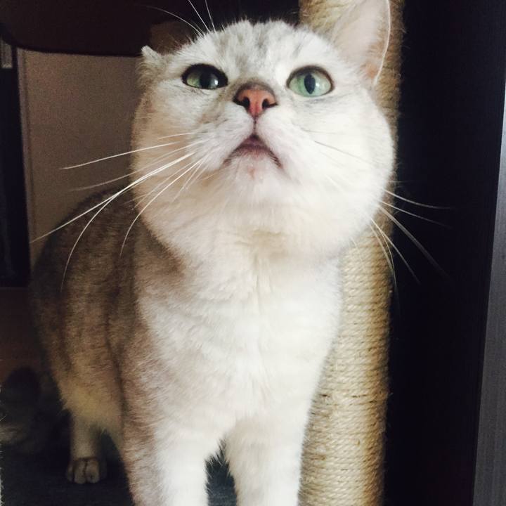 Fdb12c1f b0fb 4c3c 9c08 e8ea85b1d09b