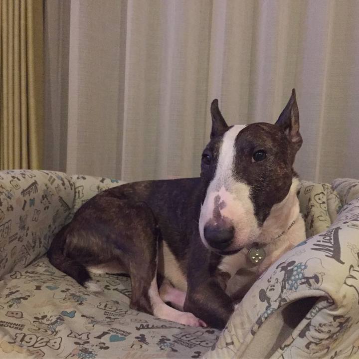 Fdb197ea f327 44cf 97d0 6959313daa89