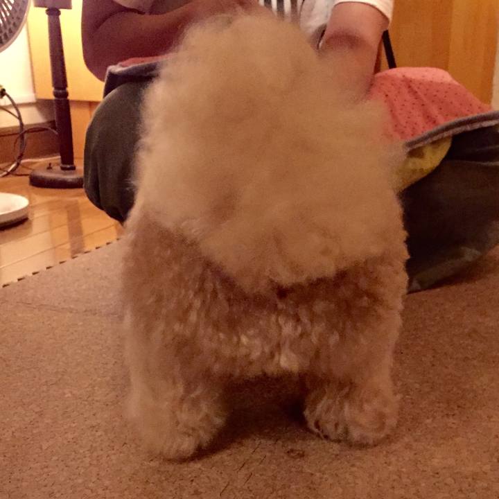 Fdb1a148 89ec 4b42 be73 ec62782457b9