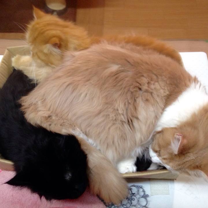 Fdb2f3e0 34f7 4ed7 b093 4f4906786129