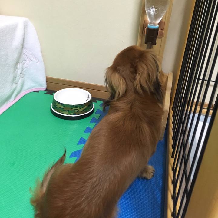 Fdb3369c b48f 41ad 9cdd fc326f688fdd